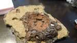 home made craters (for space hulk contest)