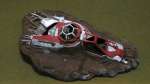 crashed aquilla lander