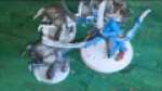 Battle Report