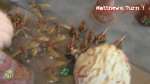 Beat Matt Batrep:  Tyranids vs Tyranids Part 3