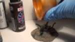 Tutorial on doing slime