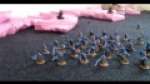 40k: Imperial Guard Project
