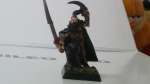 Dark elves Shadowblade