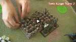 Warhammer Fantasy Battle Report:  Goblins vs Tomb Kings Part 2