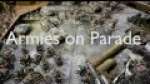 Games Day 2011: Army on Parade