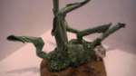 Alien plants