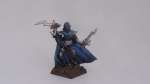 Dark Elf Assassin