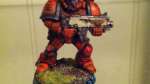 Tiger Marine Update