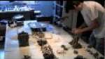 Battle Report - Orks vs. Imperial Guard - Setup