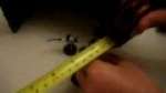 40K Batrep: Eldar vs Space Wolves rematch (Part 2)