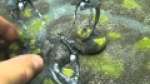 Necron Wraiths
