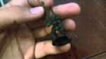 Eldar Guardian Showcase/Review