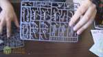 Unboxing Necrons:  Warriors, Immortals, and Deathmarks