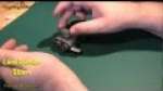 Putting it all together - Land Speeder Storm - Warhammer 40K 