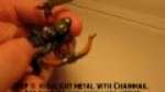 Orc Arrer Boyy paint tutorial