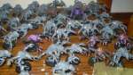 My Up and Coming Swarm