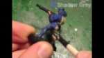 How to Paint: Middenheim Handgunners