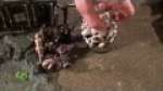 PART III Chaos vs. Tyranids