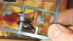 Warhammer 40K Space Marine Captain Unboxing Video 