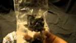 Warmachine 2 player battlebox unboxed