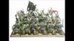 Animosity Orcs
