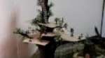 Elven Tree Fortress - Video