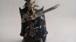 Dark Elf Lord