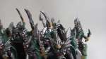 Dark Elf Reavers