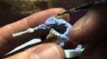 painting Skink skirmisher
