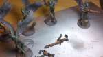 Dark Eldar Scourge WIP