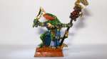 Skink priest
