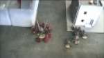 Tyranids vs Necrons Battle report 