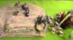 Tyranids vs Lysander