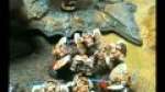 Eldar Corsairs vs Blood Angels 1500pt Battle Report