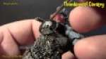 Thunderwolf Cavalry - Space Wolf - Painting For Us Mere Mortals - Warhammer 40K Painting Tutorial