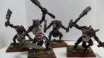 Chaos Trolls of the Warriors of Chaos