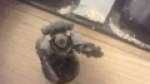 Grey Guard Squadron: Episode 1 Waaaagggghh