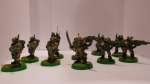 Imperial Guard Reinforcements