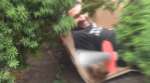 Behind the Scenes: Epic Sword Fight Bloopers and Reactions