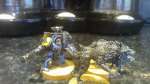 space wolves wolf lord