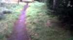 Short Movie The Seach For Calgar
