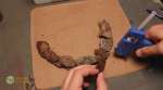 Plague Demon Terrain: Building Ruins - Part 7/8