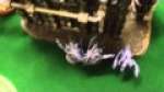 Tau vs Daemons 6th Edition Battle Report