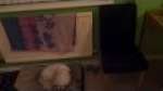 My hi-tech paint studio