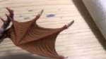 Parasite of Mortrex