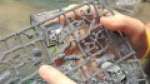 Dark Angels Knights And Belial UNBOXING