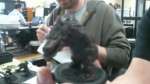 Blue Table Painting Ep 16: Painting Tips - Gatormen Hordes
