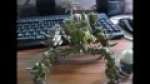 German How to Nurgle your Defiler Part 6/6