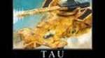 In Depth - New Tau Army
