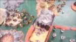German Battlereport (Salamanders & Sisters of Battle vs Orks)